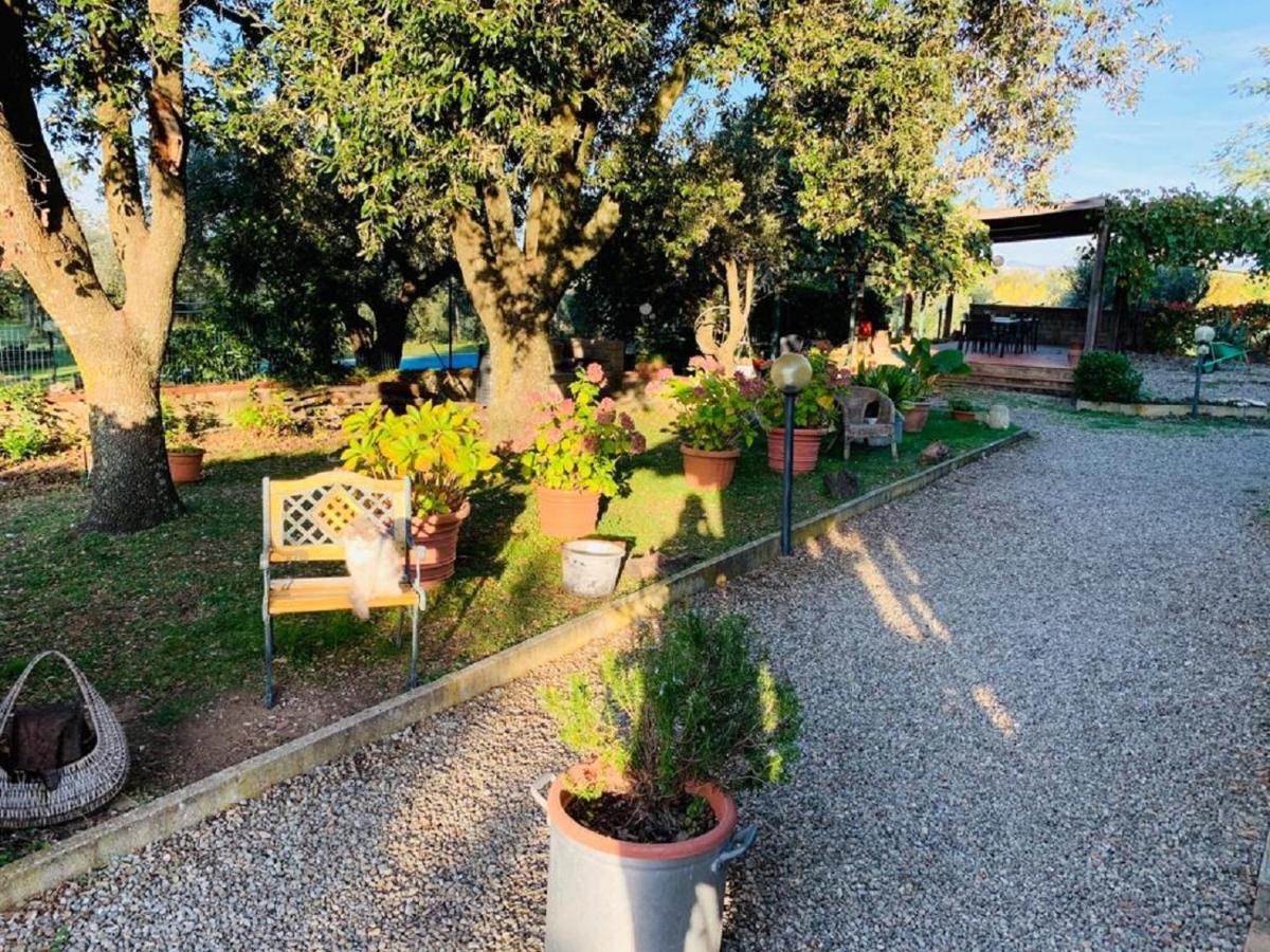 Country House Maremma Nel Tufo Pitigliano Exteriér fotografie